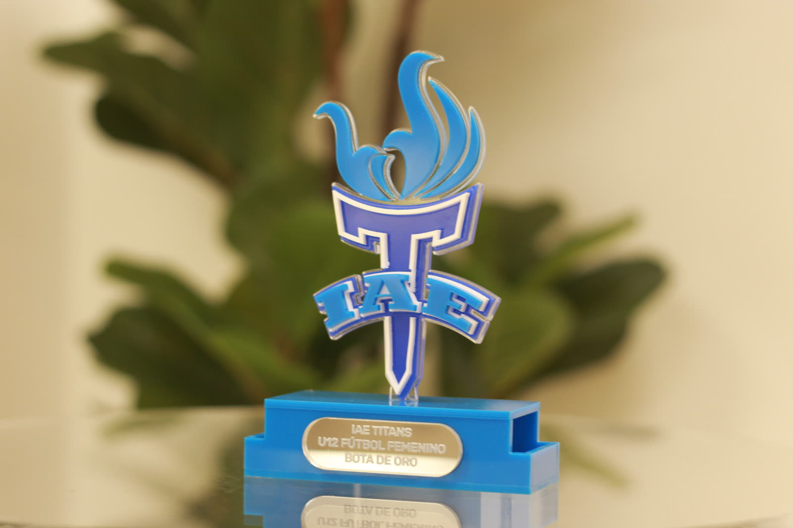 Trofeo IAE en acrílico